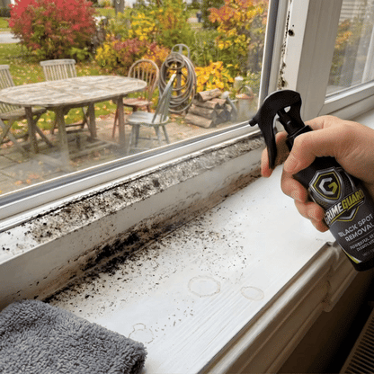 GrimeGuard Premium Mold Remover